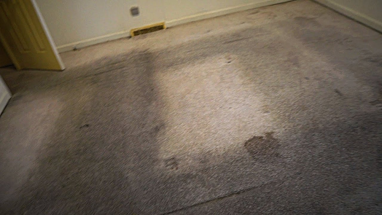 What Exactly Does Reliable Rug Cleaning in Brisbane Entail?
