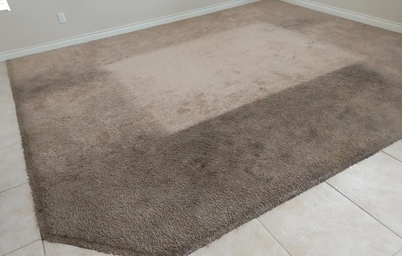 All You Need To Know About Carpet Steam Cleaning