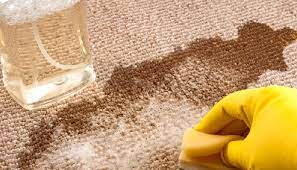 Top 6 Carpet Cleaning Tips by Professionals