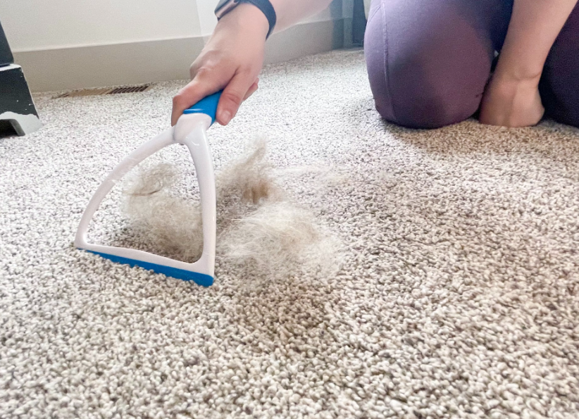No More Pet Danders On Your Carpet, Get Right Help