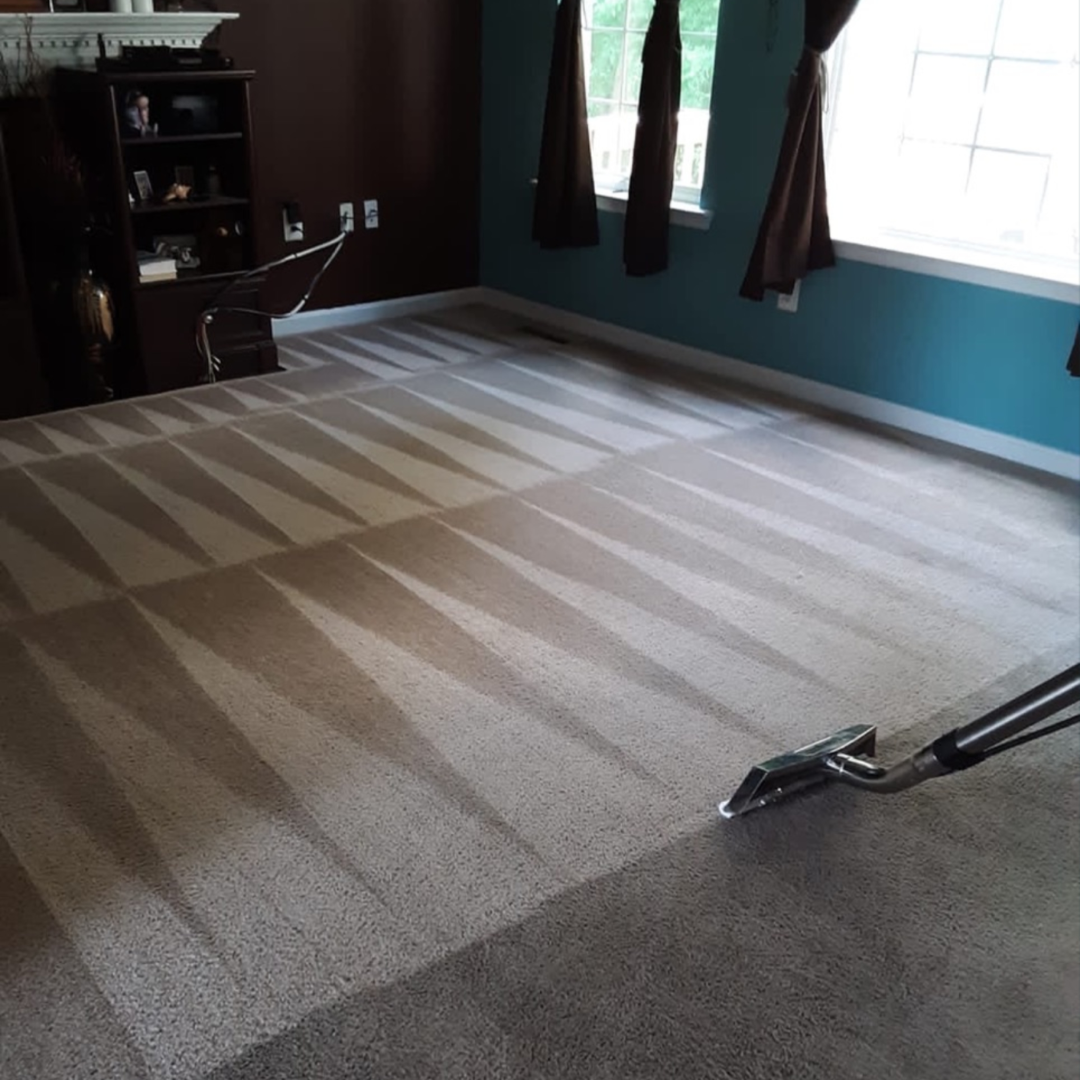 How To Manage Carpet Steam Cleaning For Pets: A Complete Guide