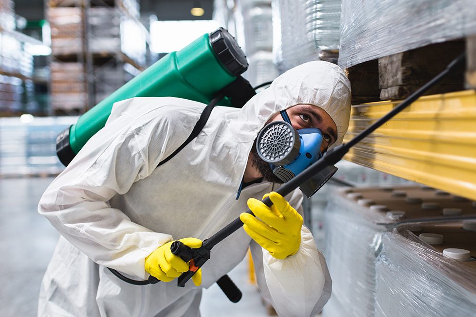 Natural vs. Chemical: Choosing the Right Pest Control Methods