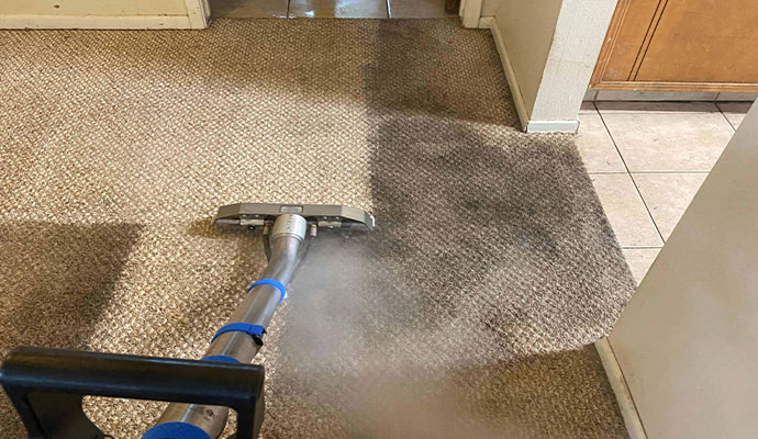 Why Carpet Cleaning is Important?
